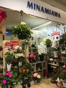 「フローリスト南阿波」　（徳島県海部郡牟岐町）の花屋店舗写真1